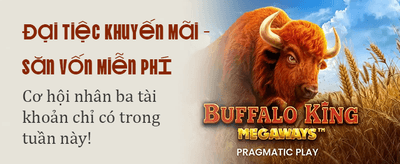 Thể Thao Kịch Tính BTY523